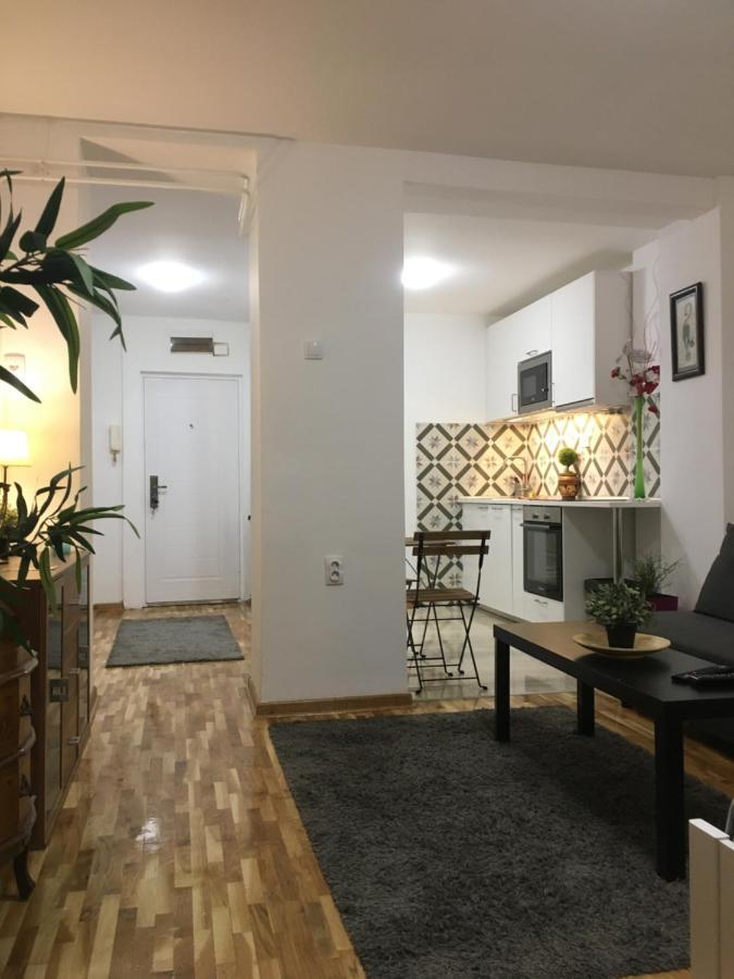 Ferienwohnung Axis Mundi Belgrad Exterior foto